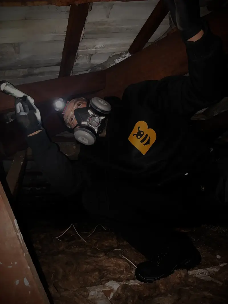 Fabien from FAB Pest Control inspecting concealed timber with a torch during a Perth termite inspection