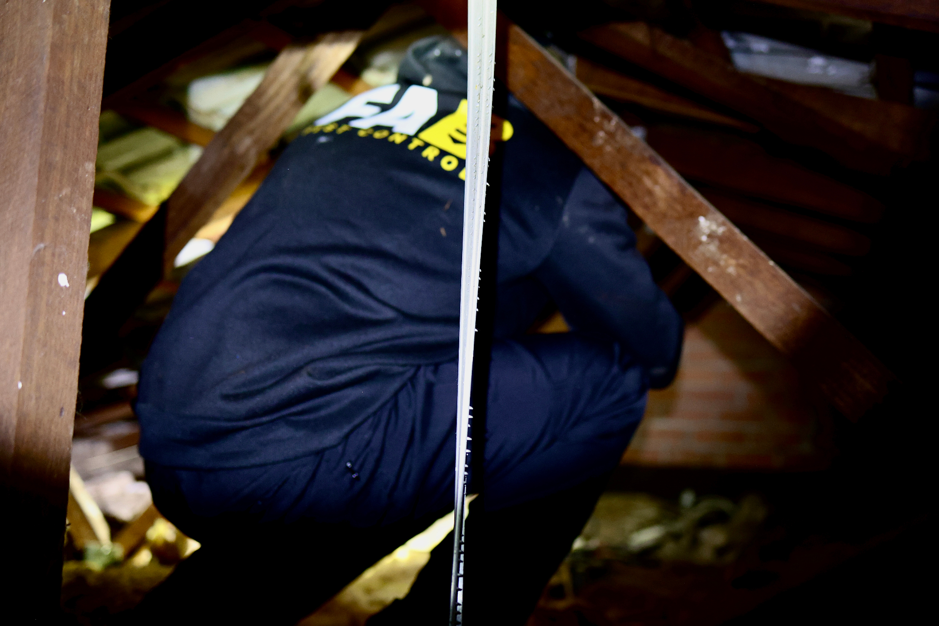 Detailed structural timber check in a Perth roof void